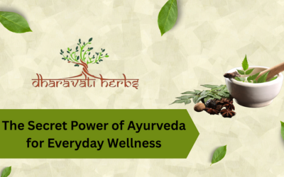 The Secret Power of Ayurveda for Everyday Wellness